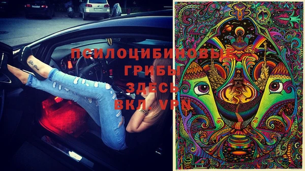 не бодяженный Алзамай