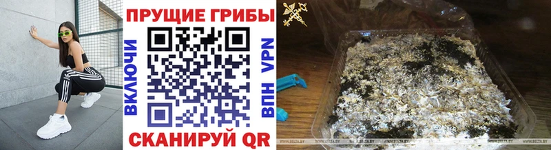 Галлюциногенные грибы Cubensis наркота Алексин